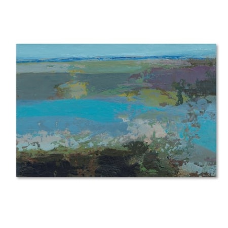 Grainne Dowling 'Killala Bay IV' Canvas Art,12x19